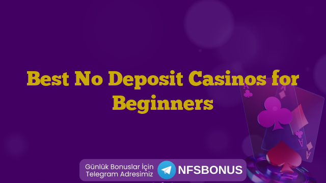 Best No Deposit Casinos for Beginners